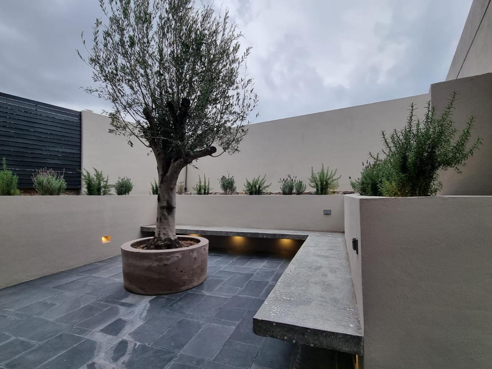 Casa Origenes Hotel San Miguel de Allende Ngoại thất bức ảnh