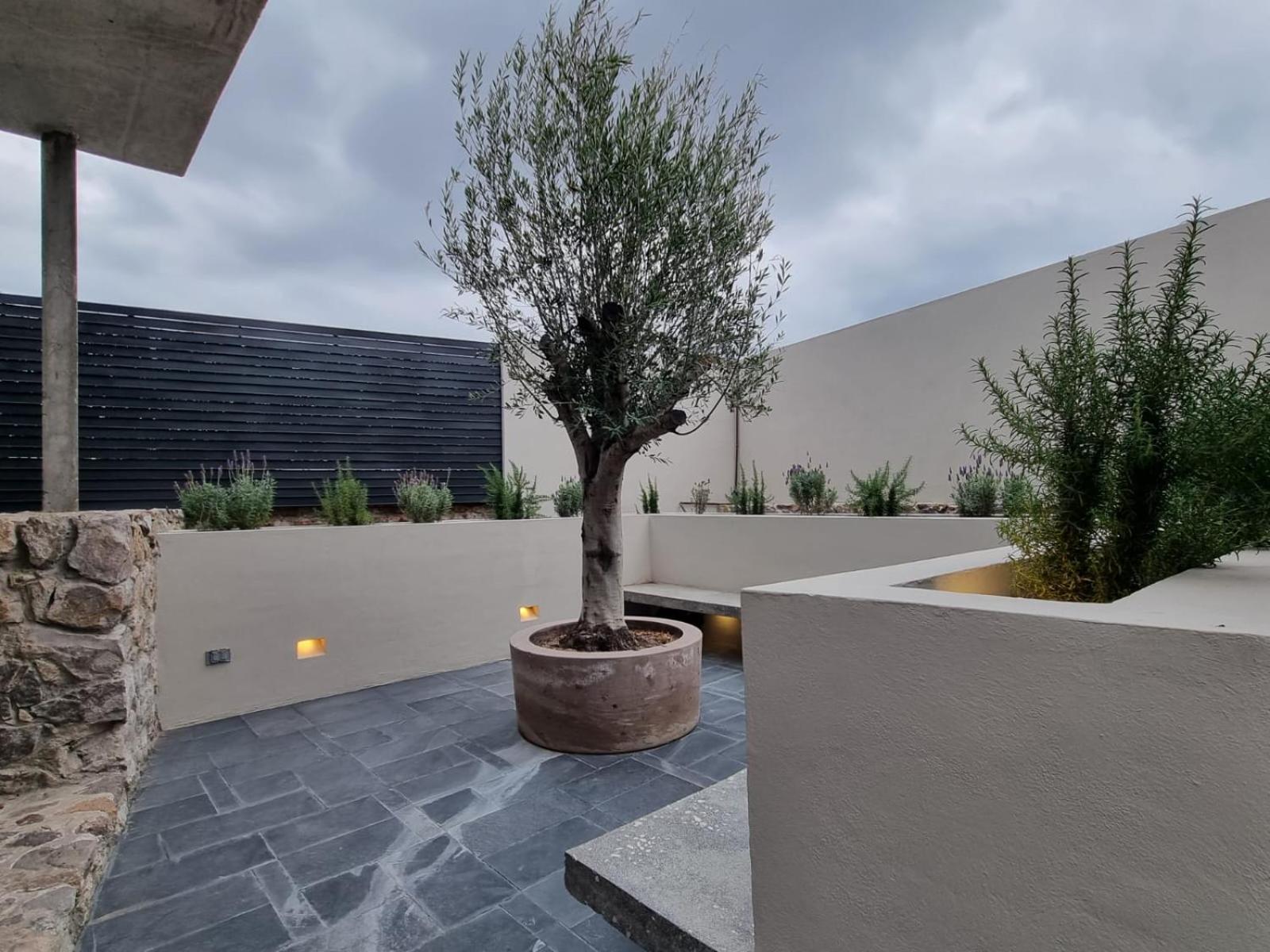 Casa Origenes Hotel San Miguel de Allende Ngoại thất bức ảnh