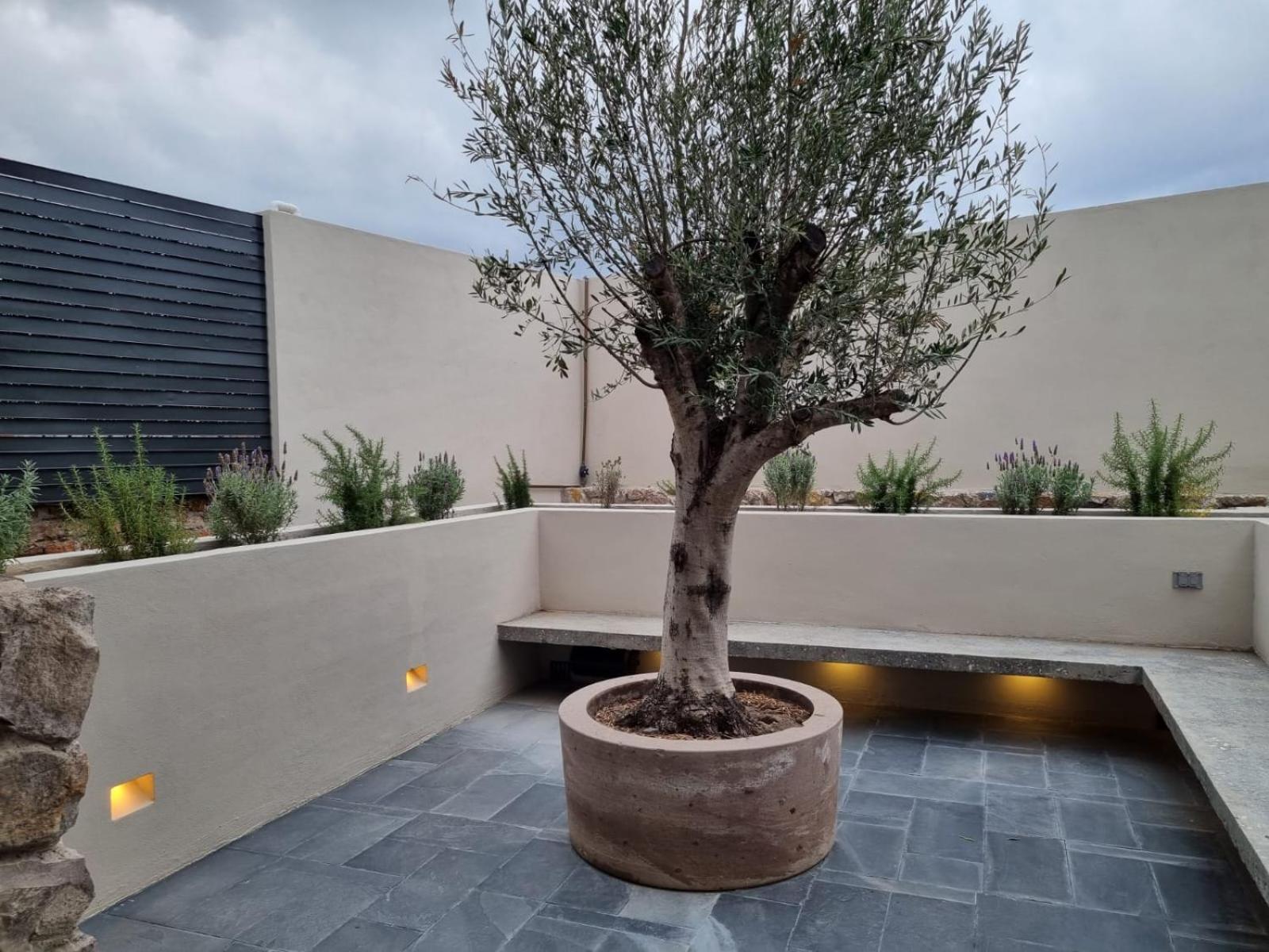 Casa Origenes Hotel San Miguel de Allende Ngoại thất bức ảnh